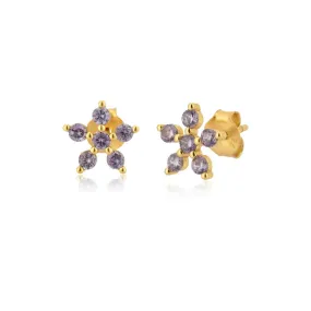 Six Stone Violet Flower Stud Earrings