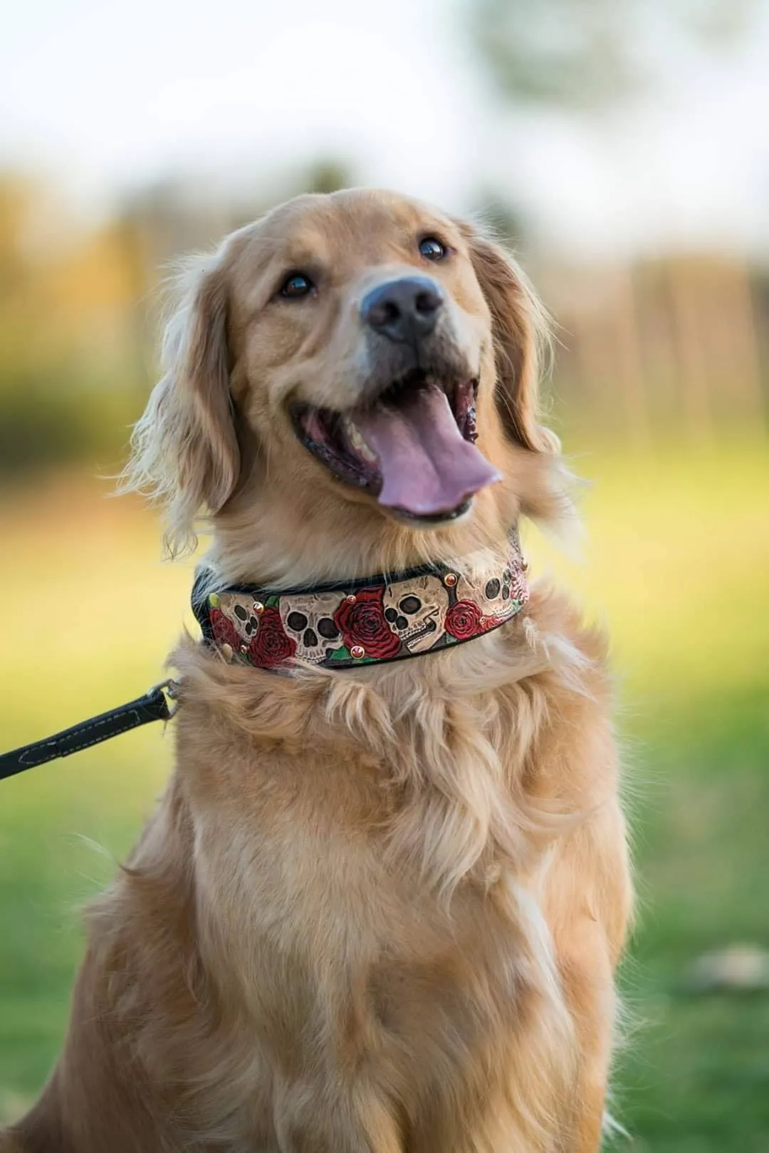 Skull and Roses Dog Collar